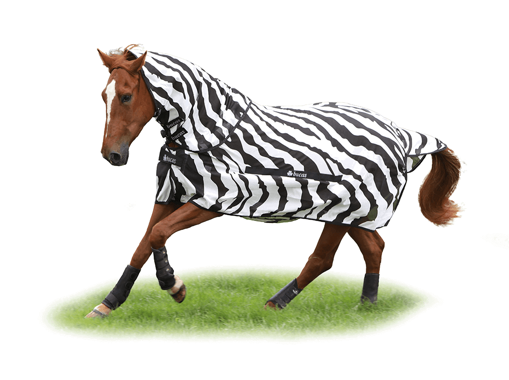 Bucas Fly Blanket BuzzOff Zebra & Neck FUNDIS Equestrian