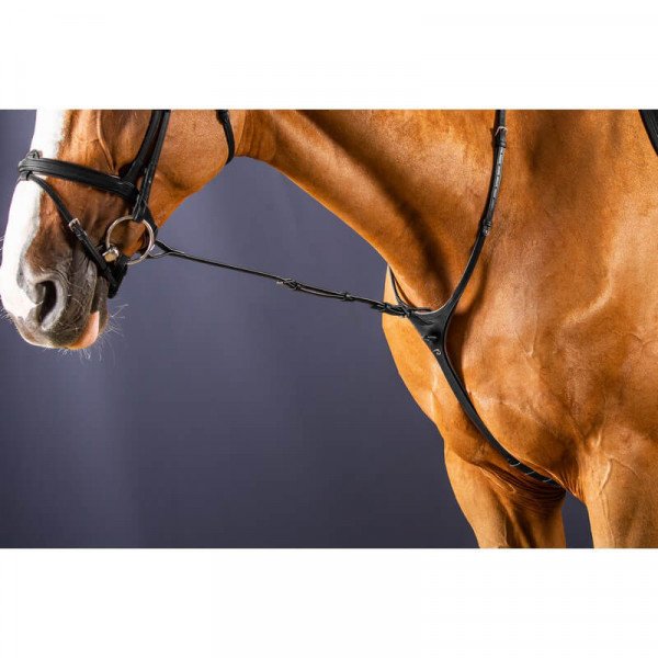 Brand Standing Breastplate Martingale Horse Tack D.A 