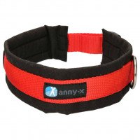 Annyx Dog Collar Plug-in Collar Fun & Protect