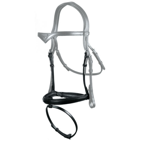 Dyon Flash IC Noseband with Removable Locking Strap