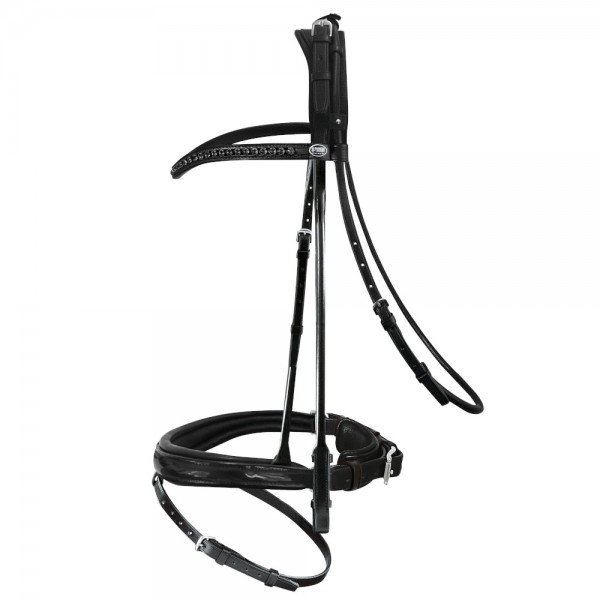 Passier bridle "Neptune" with noseband with Swedish buckling