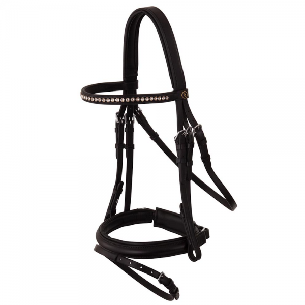 BR Bridle Brentwood