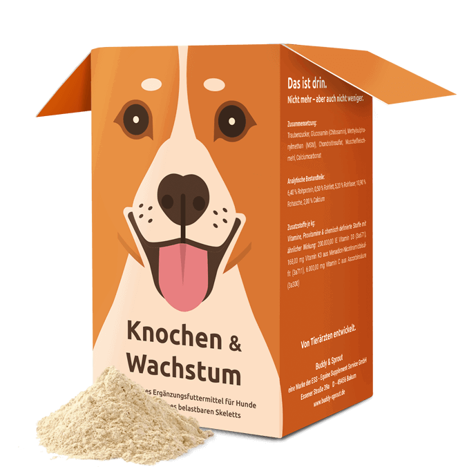 How To Feed Dog Powder Medicine